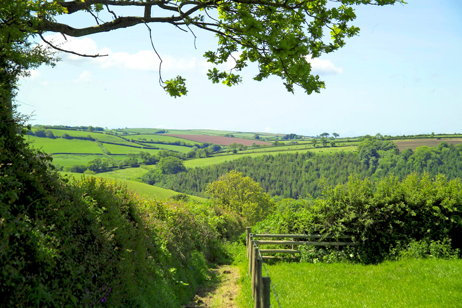 Webland Walk view across South Devon countryside