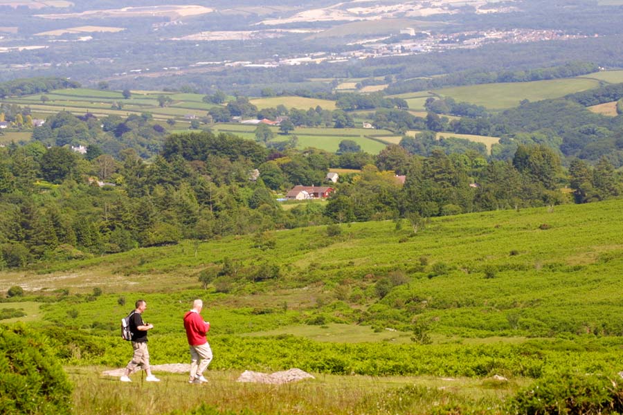 Walking on Dartmoor