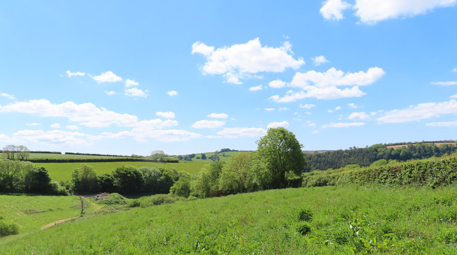 South Devon Holiday Lodges - Webland Farm View