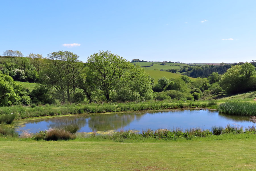 South Devon Holiday Lodges - Webland Farm Pond